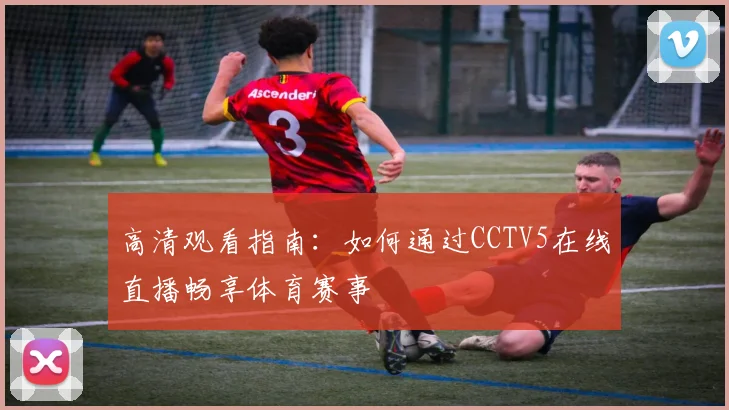 高清观看指南：如何通过CCTV5在线直播畅享体育赛事