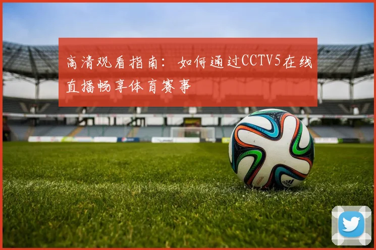 高清观看指南：如何通过CCTV5在线直播畅享体育赛事