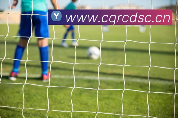 半岛在线官网品牌故事